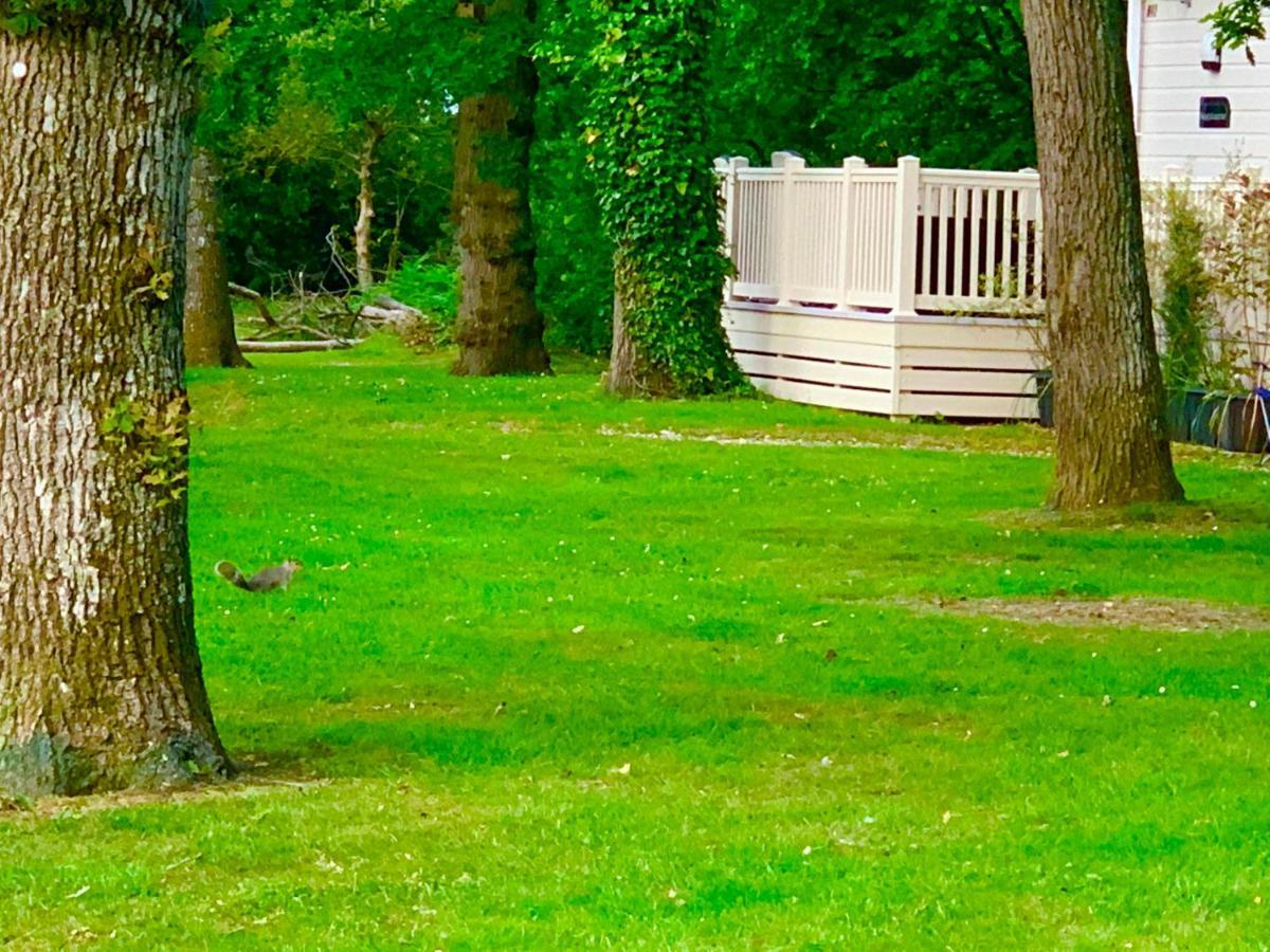 Forest Haven Sway Екстер'єр фото