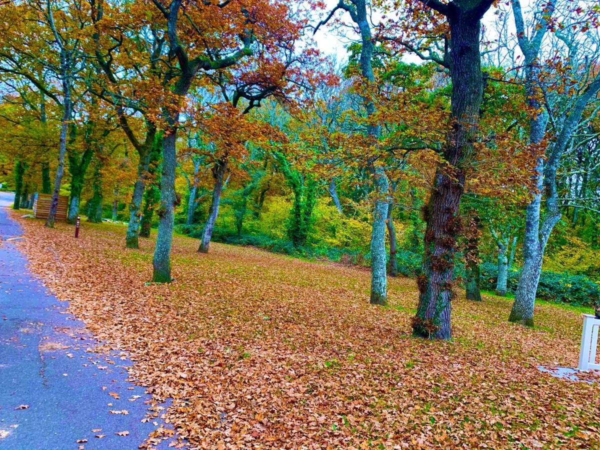 Forest Haven Sway Екстер'єр фото